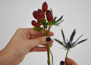 Nestling the thistle together with the red hypericum