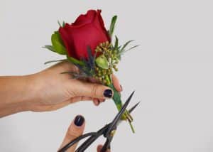 clipping stems of boutonniere