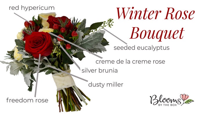 DIY Winter Rose Bouquet with Red Hypericum, seeded eucalyptus, creme de la creme rose, silver brunia, dusty miller and freedom rose