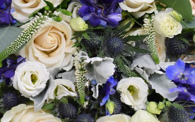 Pantone Classic Blue Pack