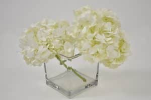 Hydrangeas in square vase