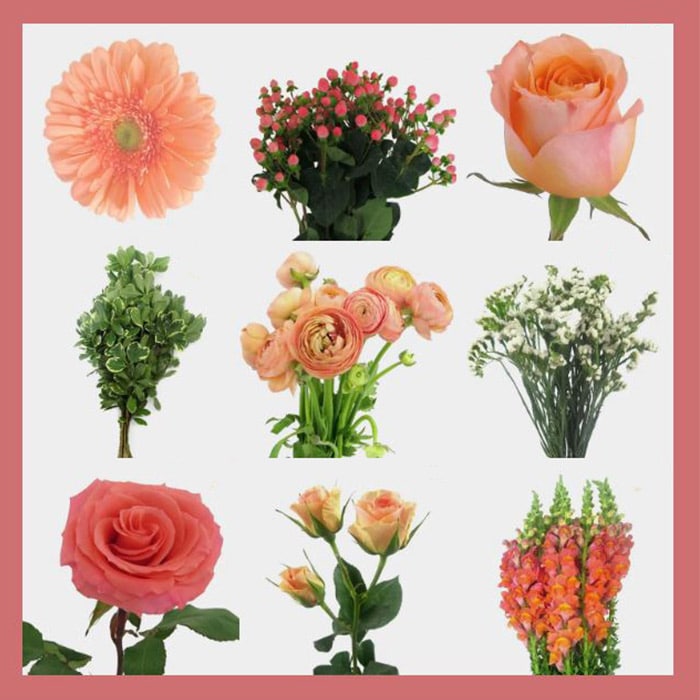Blooms board coral flowers