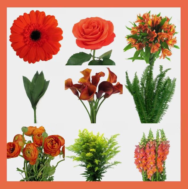 Blooms Board orange flowers