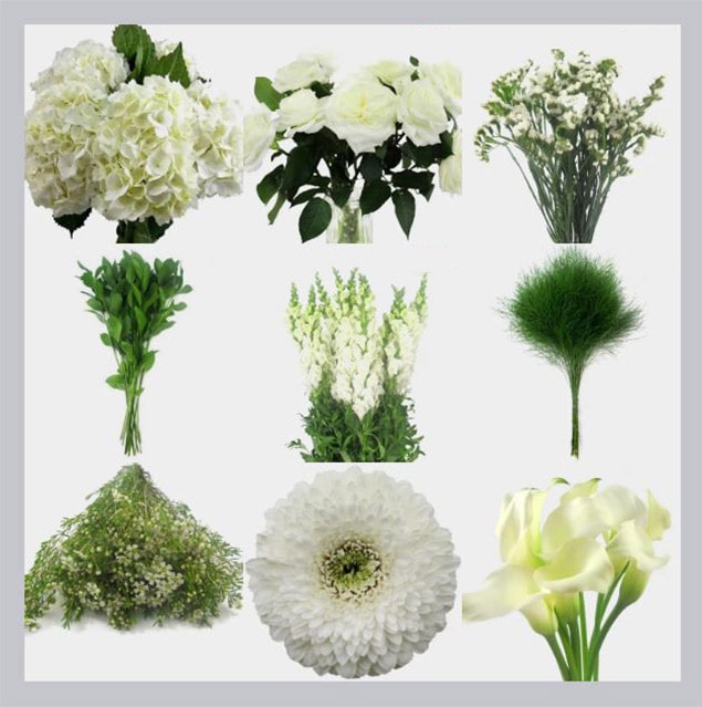 Blooms Board white flowers