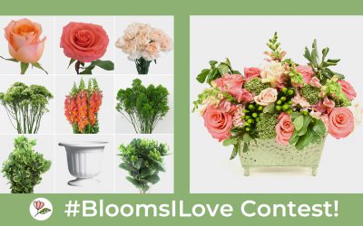 #BloomsILove Contest!