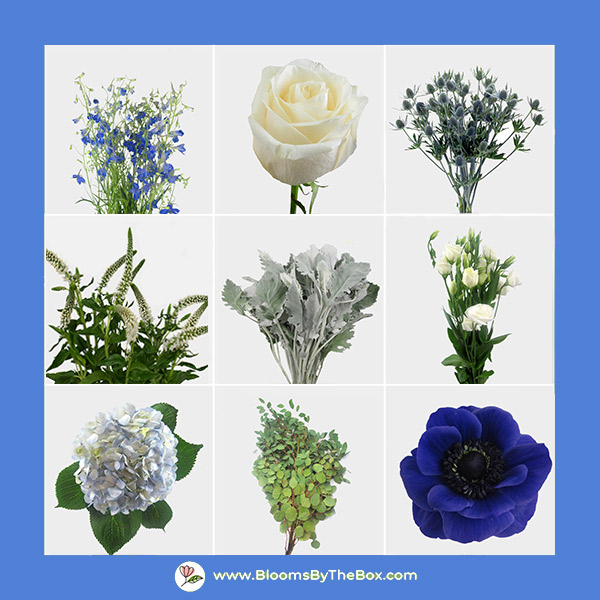 Various blue, purple and grey flowers