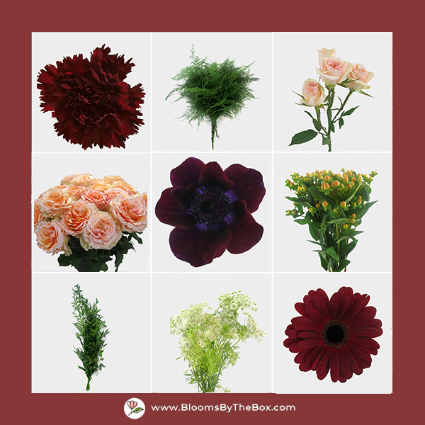 Various red, pink and purple flowers