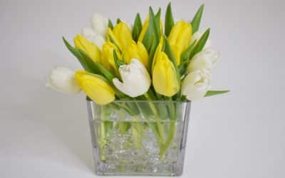 Yellow & White Tulip Centerpiece