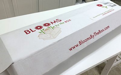 Preparing Fresh Cut Wholesale Flowers