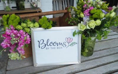 Wildflower Arrangements