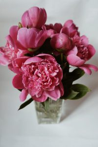 Purple flowers in glass vase