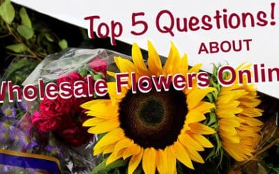 Concerns Ordering Wholesale Flowers Online