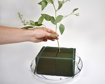 stem in floral foam in a designer dish