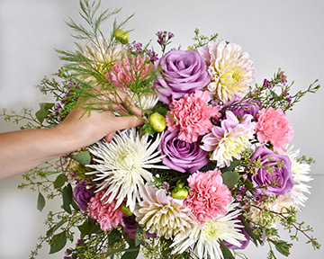 Filling in spaces with purple waxflower and tree fern