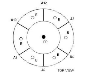 Diagram of Rounded Flower Arrangements