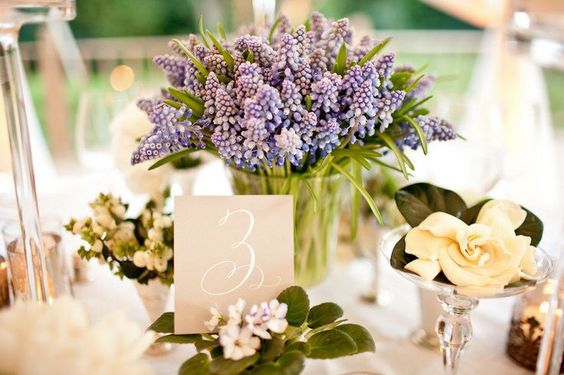 Hyacinth centerpiece