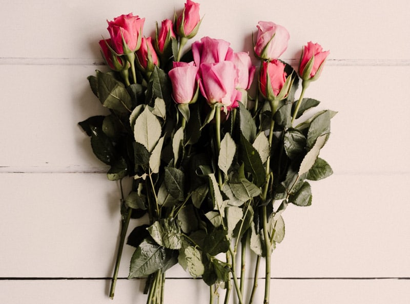 Roses
