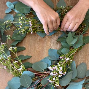 Overlapping Eucalyptus