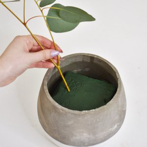 floral foam with eucalyptus branch