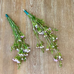 Wax Flower bunches