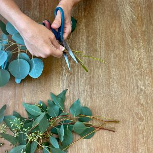 Eucalyptus Centerpiece cutting stems