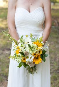 Sunflowers with white blooms