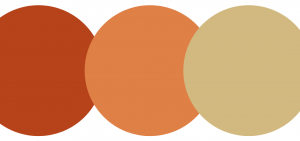 Blooms by the Box burnt orange, medium-hued orange, and taupe palette