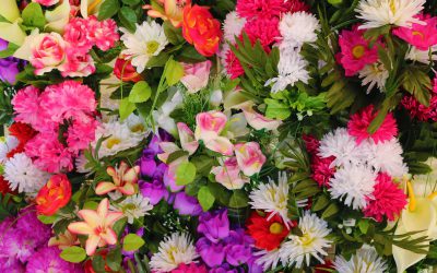 Flower Shortage and Rising Costs