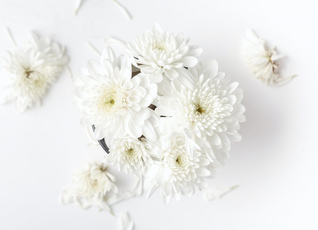 Cream and White Flowers