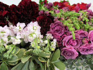 flowers of various colors