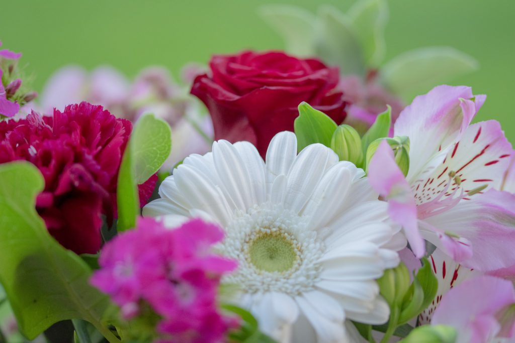 red pink and white flowers