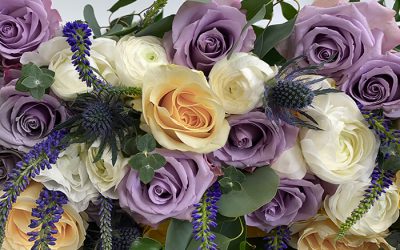 Blooms Very Peri Pantone Pack