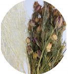 Dreied Bleach Gypsophila and Nigela Damascena Florals
