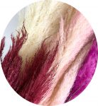 Pampas Grass, hot pink, peach, white natural and burgundy colors