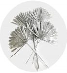 Palm Sun Dried Silver