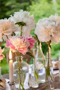 Peonies in Bud Vases and Bottles