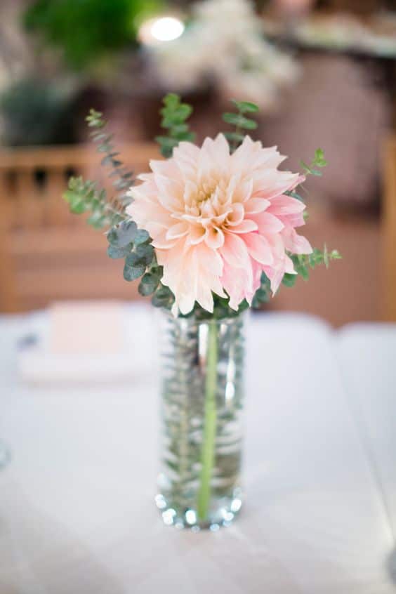 Pink Single Stem Dahlia with baby blue Eucalytus