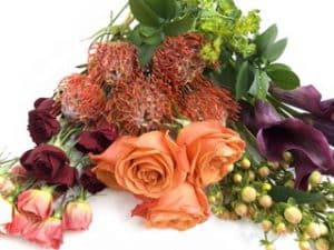 Orange, peach and purple fall flowers