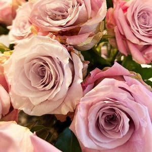 a bunch of faith roses in a stunning mauve, blush, lavender array