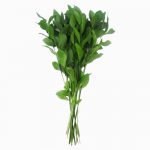 Israeli Ruscus Greenery