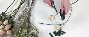 Cutting Spay Rose Stems