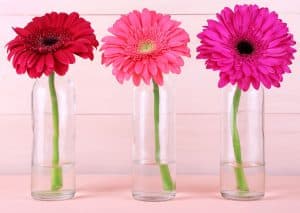Beautiful bright gerberas in glass vases on wooden background