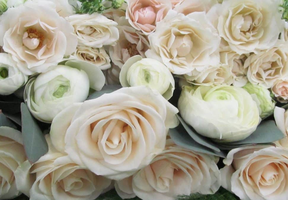 Blooms Flower Packs: Why Use Them?