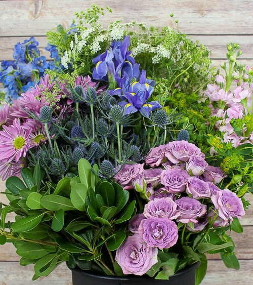 Analagous Blue Violet Flowers