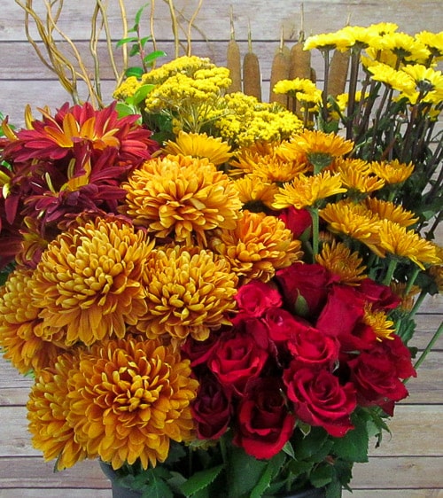 Analagous Red Flowers