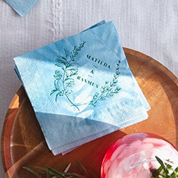 Shop-For-Your-Party for your party napkin