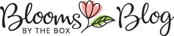 BloomsByTheBox.com