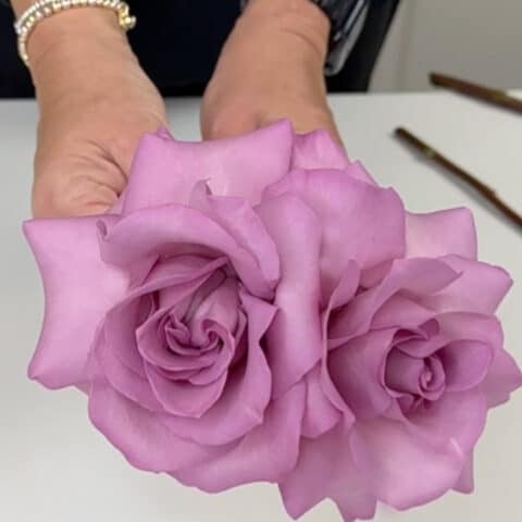 How To Reflex Roses - Blooms By The Box