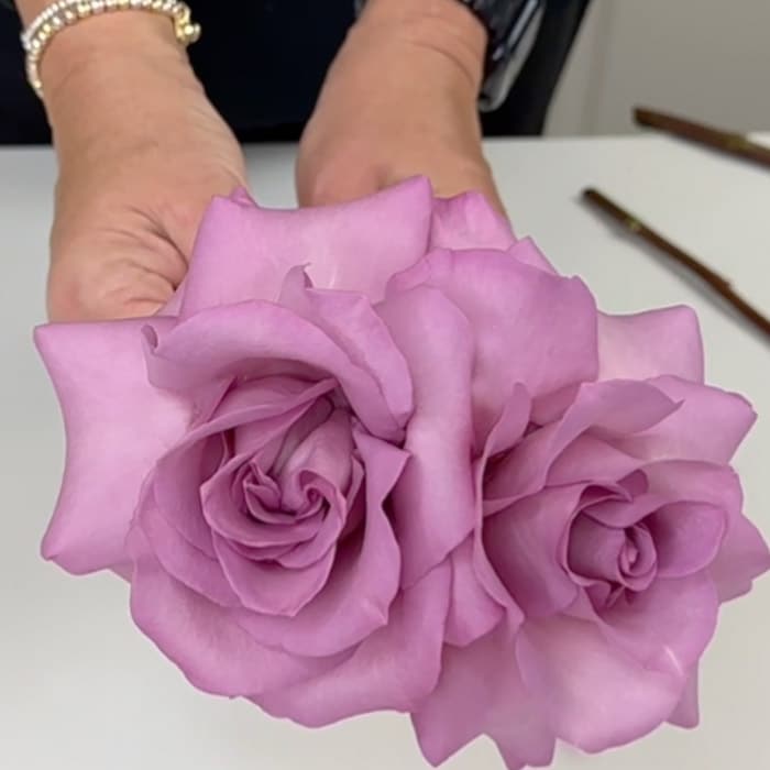 Rose reflexing refers to gently pulling back a rose's outer petals 