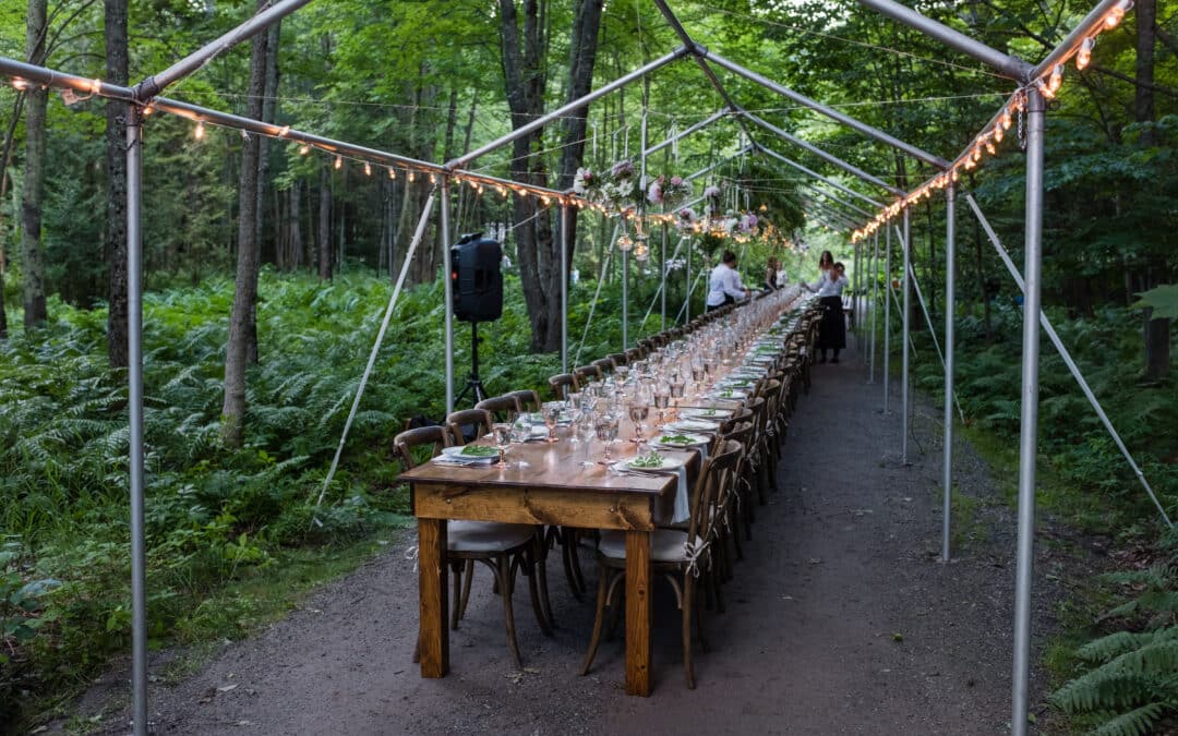 Best DIY Flowers for Outside Wedding
